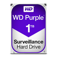 Disco Duro WESTERN DIGITAL WD10PURZ